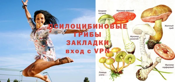 стаф Мегион