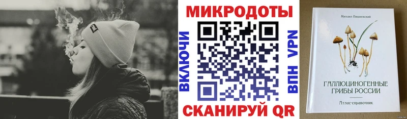 Галлюциногенные грибы Psilocybe  Нерчинск 